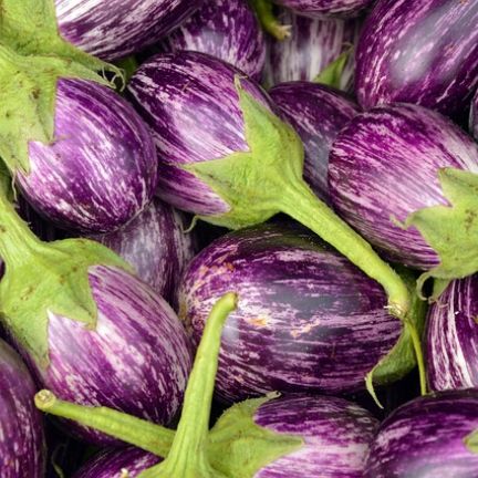 Aubergines7