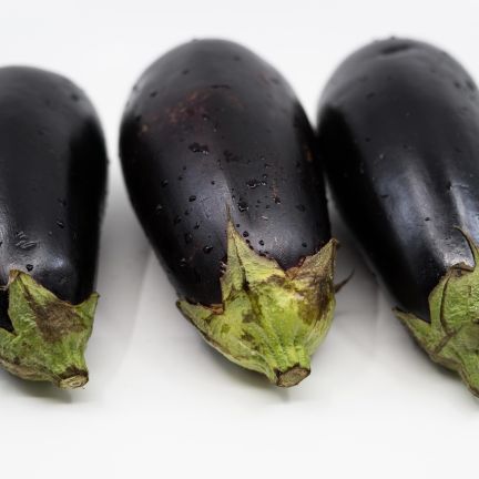 Aubergine8