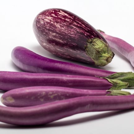 Aubergine4