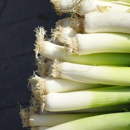 Poireaux3