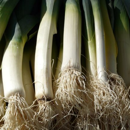Poireaux1