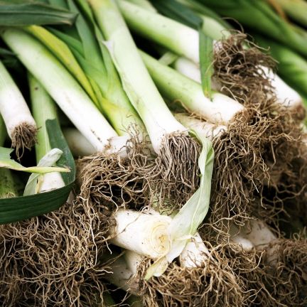 Poireaux16
