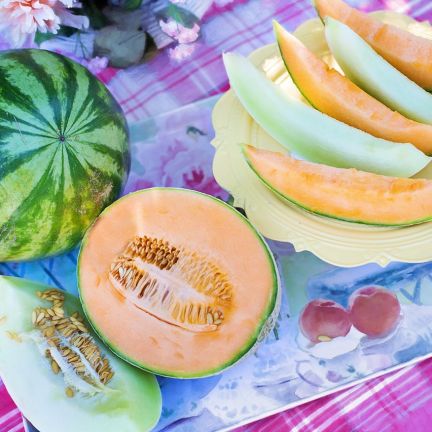 Atelier Culinaire : Smoothie au Melon