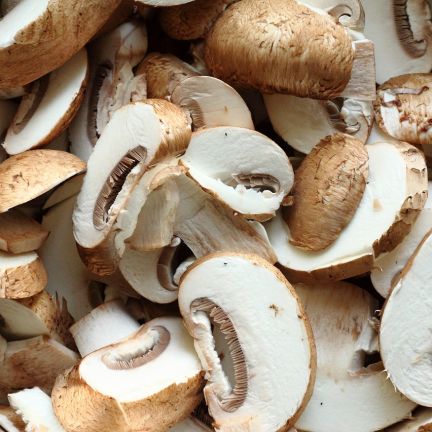 Atelier Culinaire : Champignons de Paris