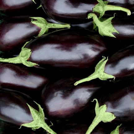 Aubergine 13
