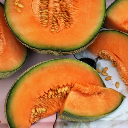 Atelier Culinaire : Smoothie au Melon