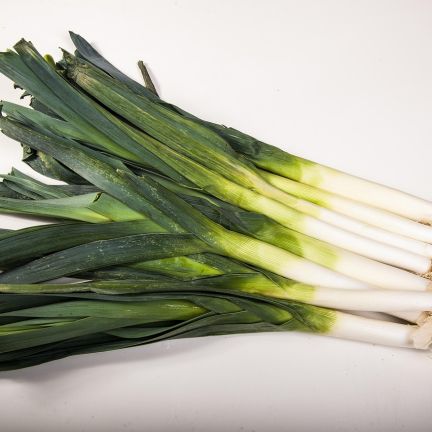 Poireaux11
