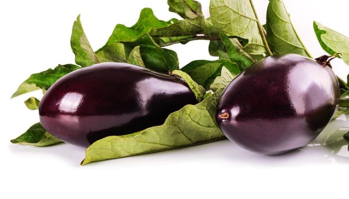 Aubergines6