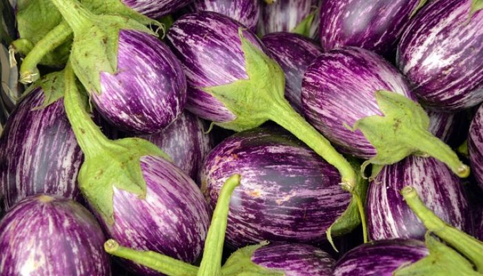 Aubergines7