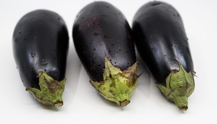 Aubergine8