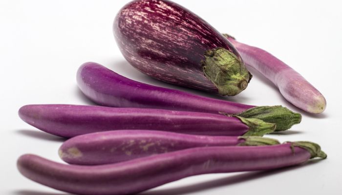 Aubergine4