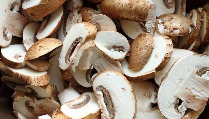 Atelier Culinaire : Champignons de Paris