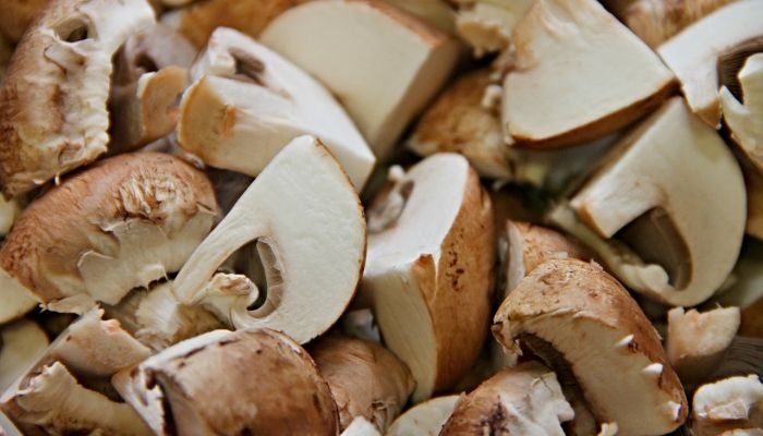 Atelier Culinaire : Champignons de Paris