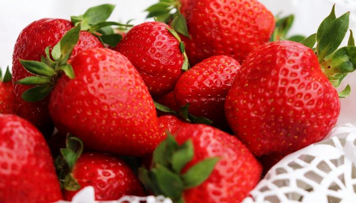 Photo Fraises