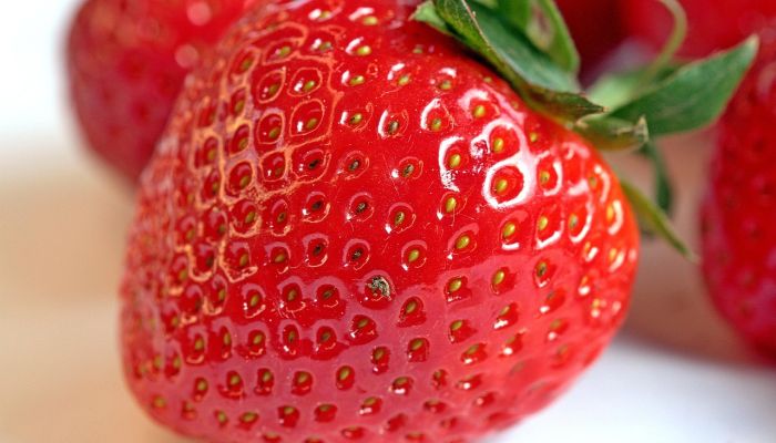 Fraise 11