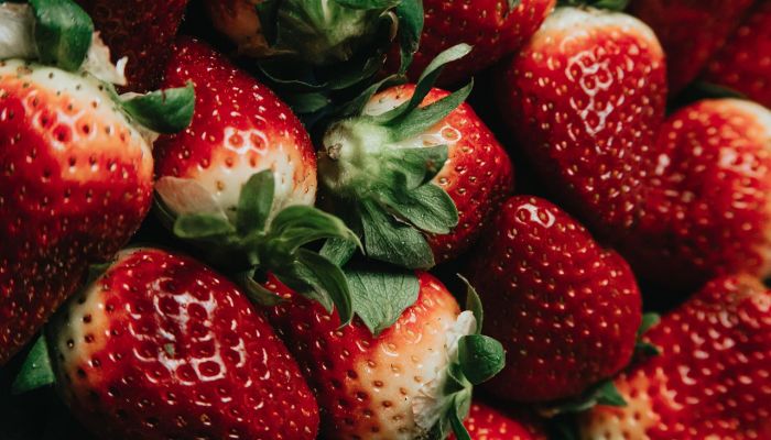 Fraise 13