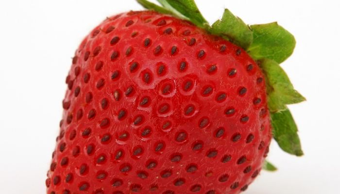 Photo Fraises