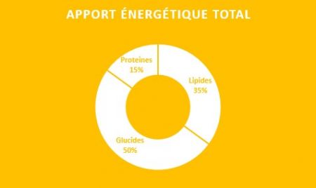 apport énergétique total