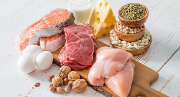 alimentation sources protéines